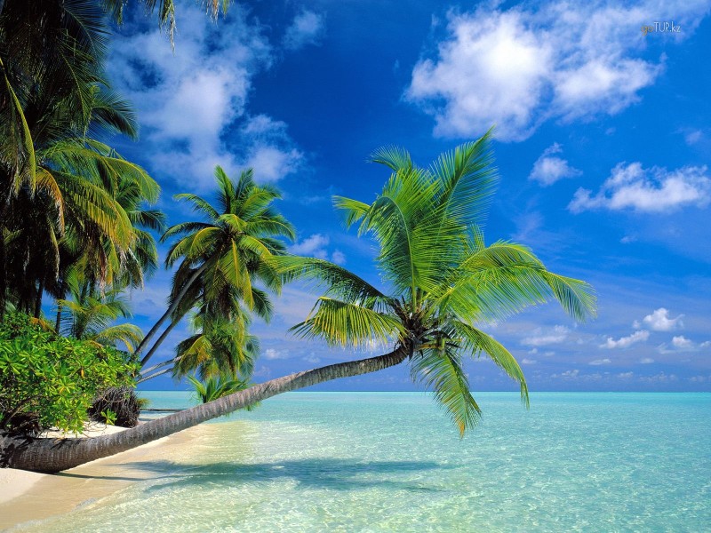 Когда лучше посетить Мальдивы?