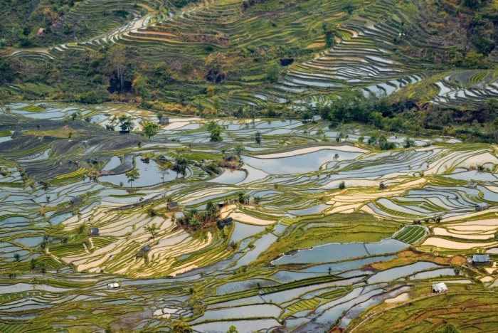 Посмотреть с высоты на рисовые террасы китайской провинции Юннань