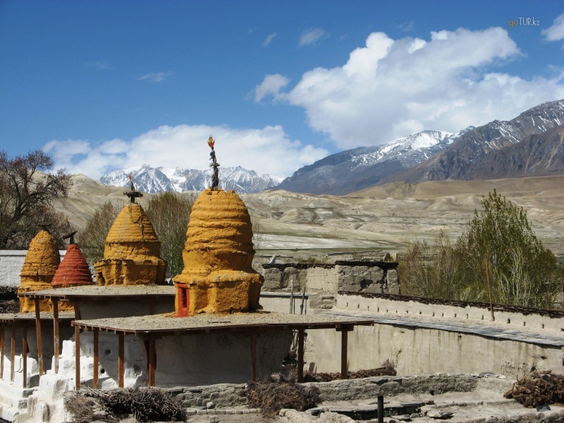  Путешествие в затерянное Королевство Мустанг