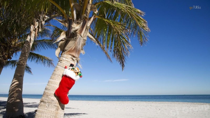 Готовимся где встречать Новый Год 2017!