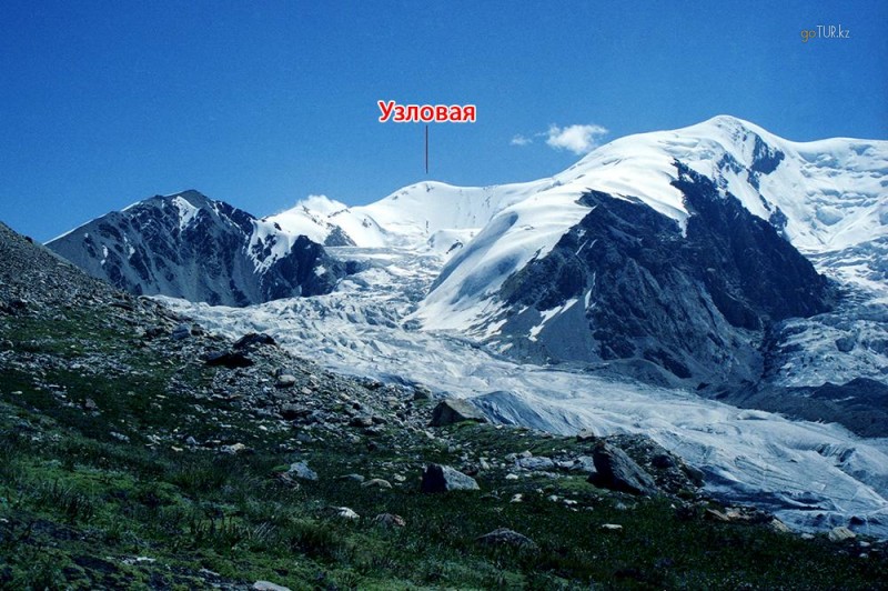 Пик узловая (н-4864)