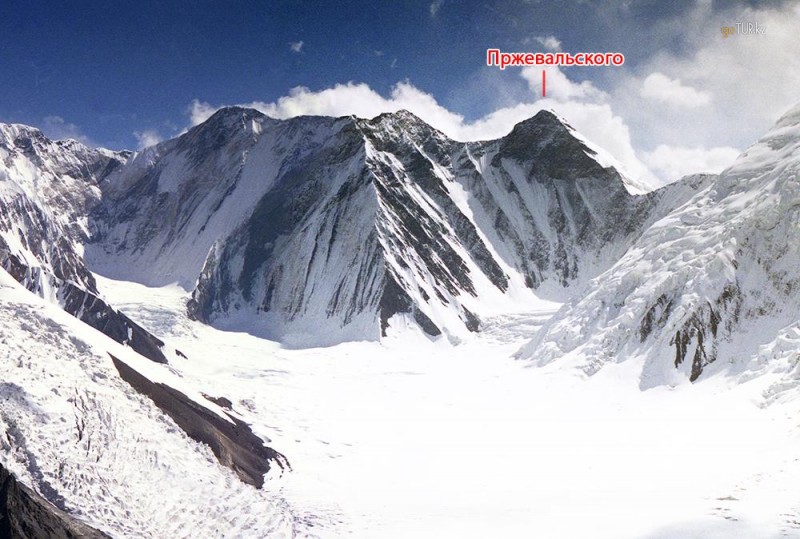 Пик пржевальского (н-6276)