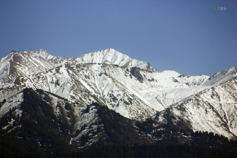 Пик трапеция (н-3435)