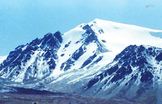 Пик сырыма кудерина (н-4321.1)