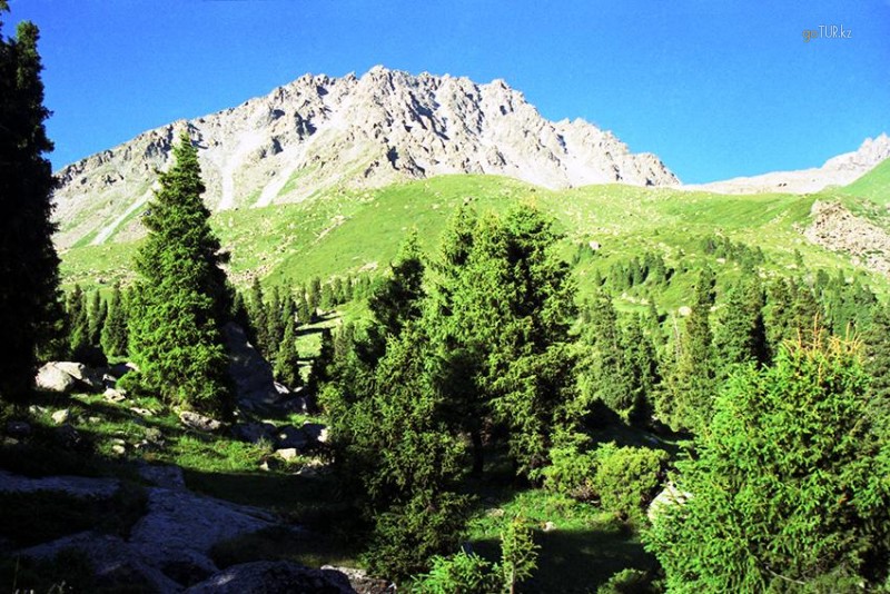 Пик пила (н-3976.2)