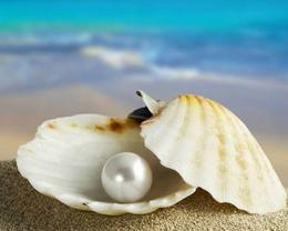 Зона отдыха ЖЕМЧУЖИНА