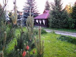 Горный родник