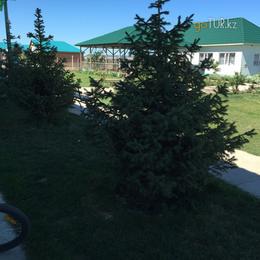 Пансионат Дильназ