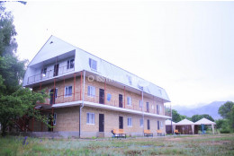 Дельфин Мурок