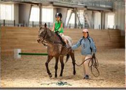 Летний лагерь в Country club 