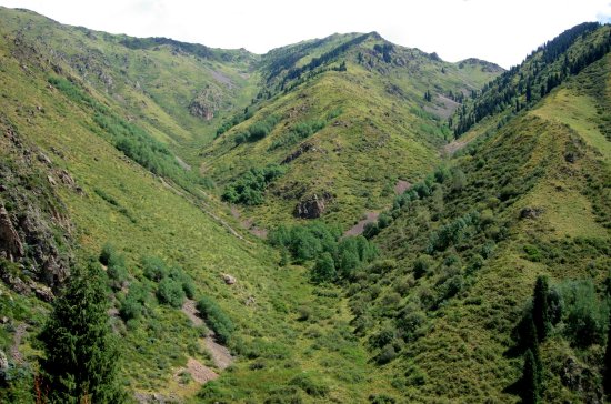 Ущелье Тургень из Алматы