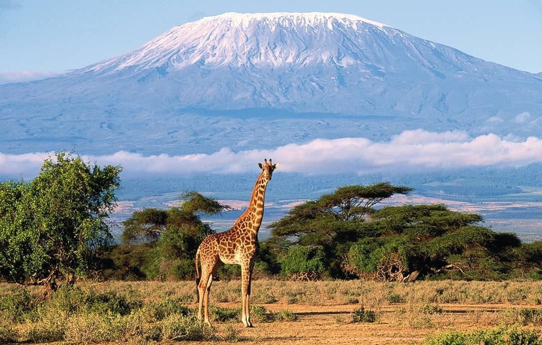 Горящая путевка в Танзанию из Алматы