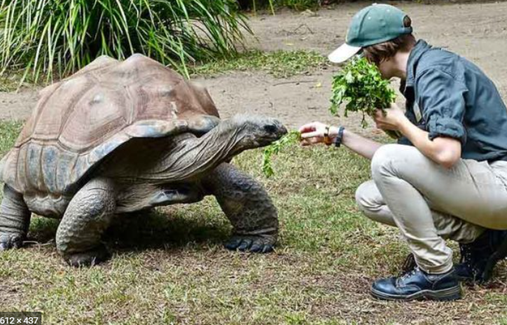 Горящие туры в Танзании