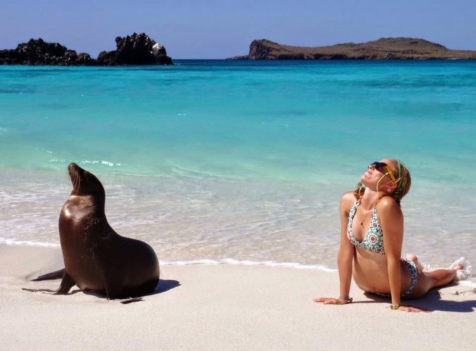 Найти общий язык с обитателями Галапагосских островов