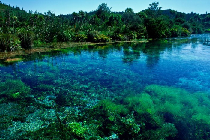 источник Пупу